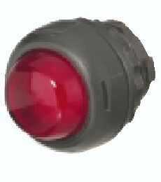 Hazardous Location IP66 Ratings, White, Pilot Light