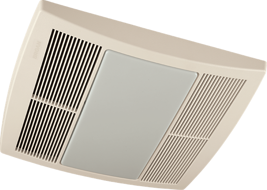 DDS_402097
