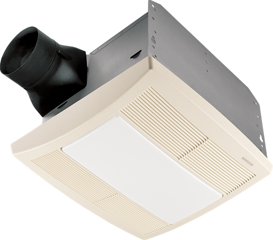 DDS_402097