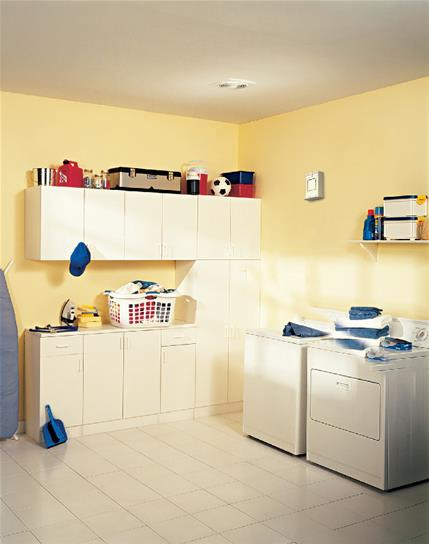 DDS_2433778