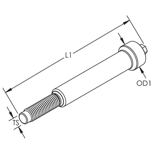 DDS_380200