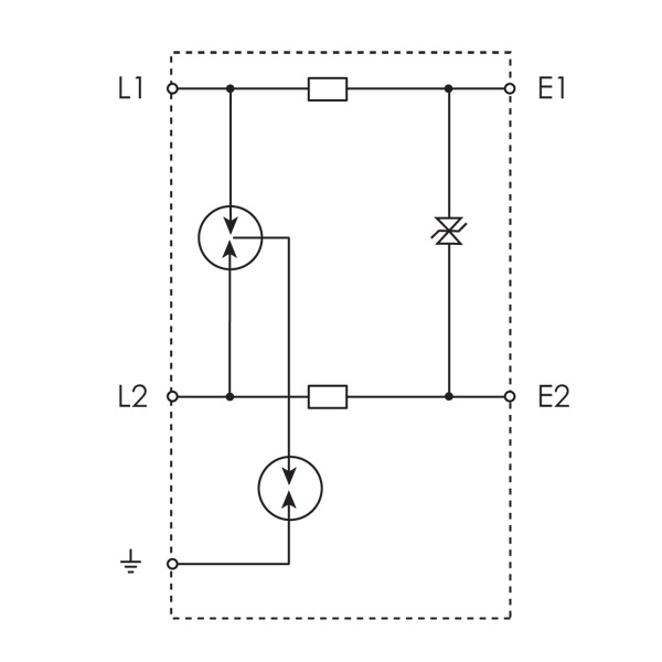 DDS_389981