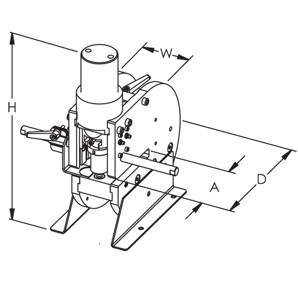 DDS_394079