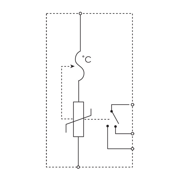 DDS_390313