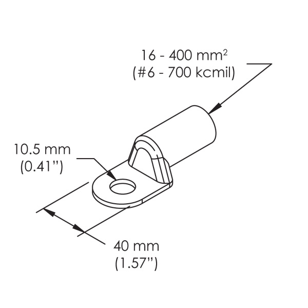 DDS_391158