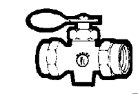 1/4 Inch (in) Female Pipe Thread Size Marine Valve - Female Pipe to Female Pipe Straight Valve
