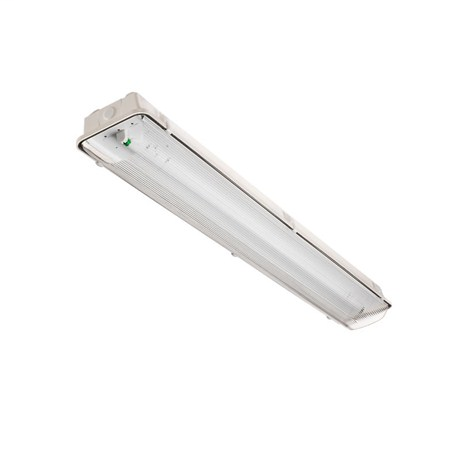 AccuLite E-Series Weather-Proof Fluoresc. Highbay