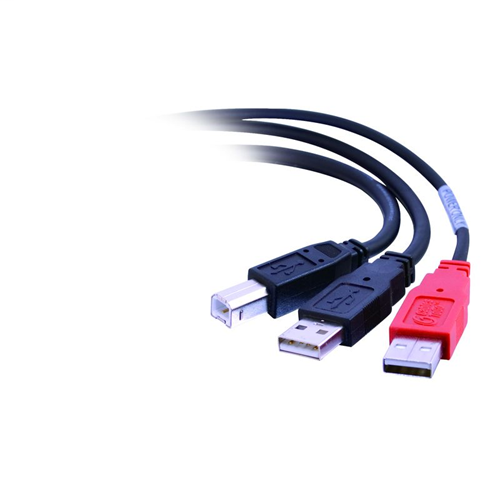 6ft USB 2.0 One B Male to Two A Male Y-Cable