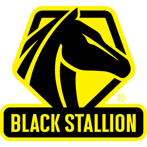 Black Stallion