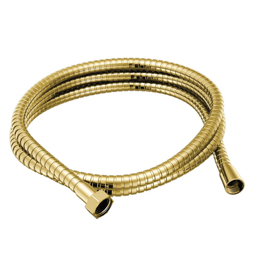 Moen Polished brass handheld shower hose