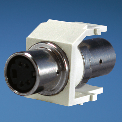 Keystone module supplied with S-Video pass-through connector.