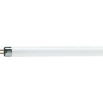 Product image for Philips 332361 4 W T5 Miniature Bi-Pin 135 Lumen 4100 K 59 CRI Cool White Fluorescent Lamp