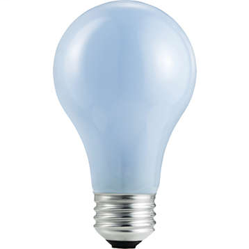 53W 120V A19 D-BEV 2CT