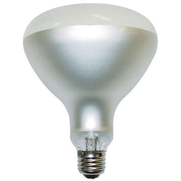 Reflector 500W Med 130V R40 FL FR 1CT