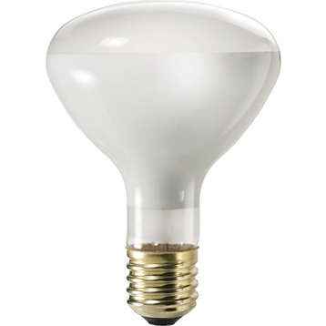 Reflector 500W Mog 250V R40 FL FR 1CT