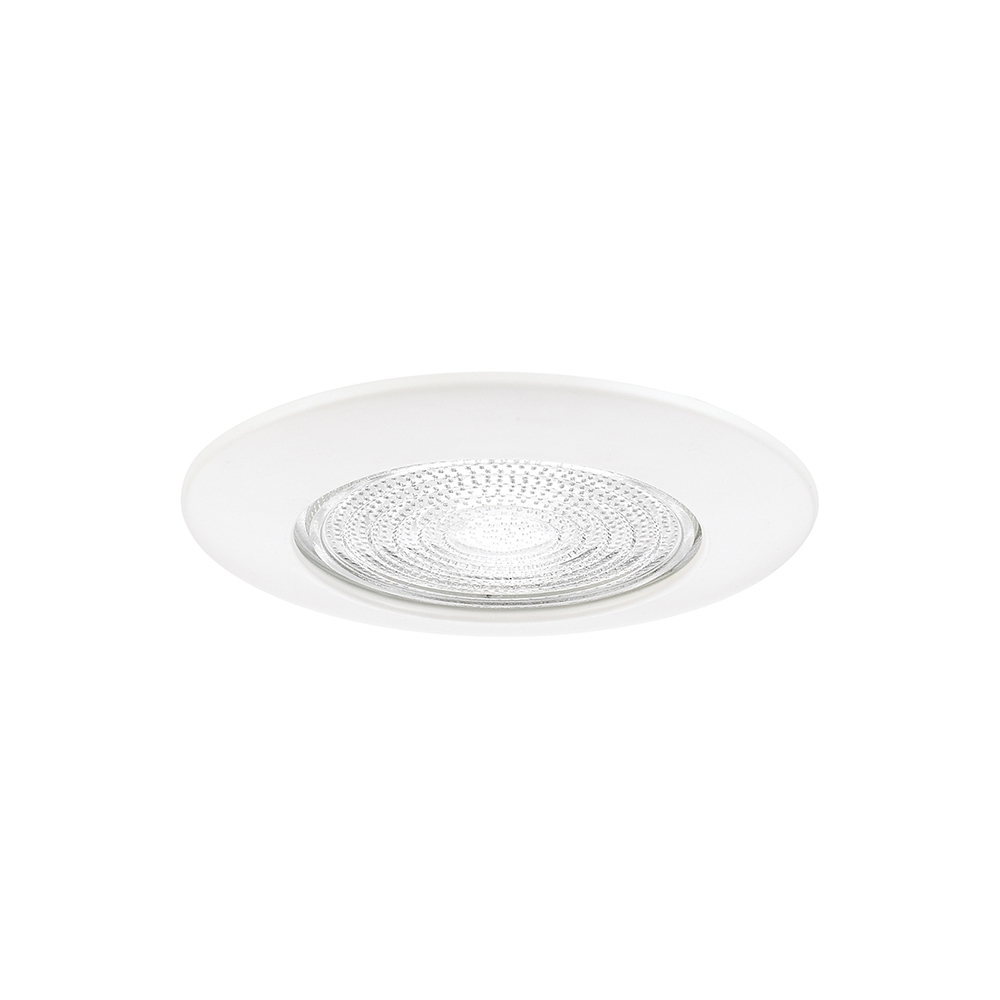 6" Fresnal Glass Shower Trim