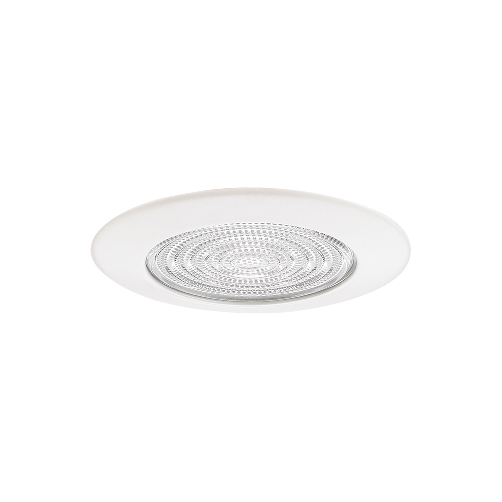 5" Fresnal Glass Shower Trim