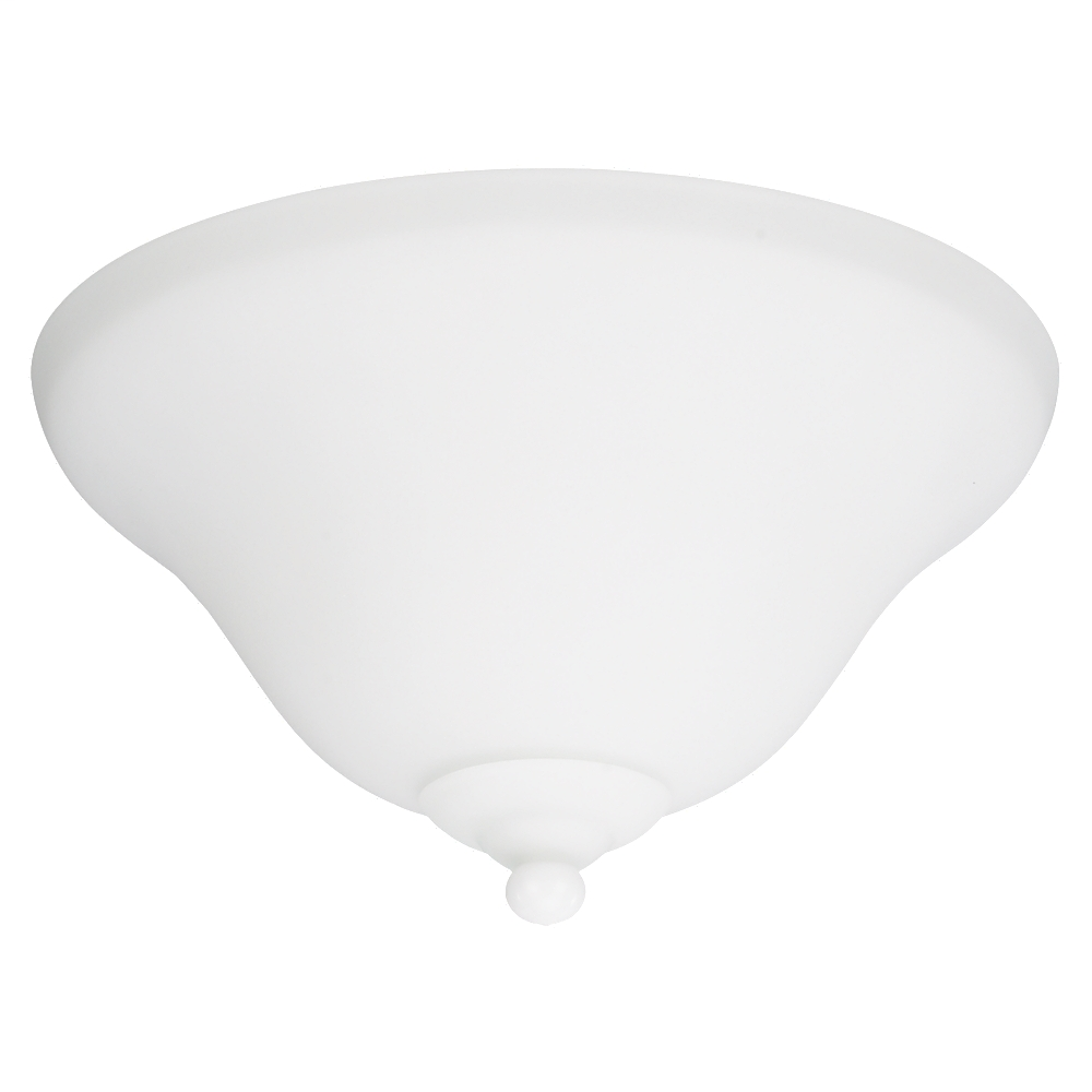 Two Light Ceiling Fan Light Kit