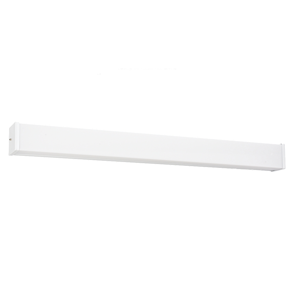 Two Light Multi-Volt Ceiling / Wall Mount