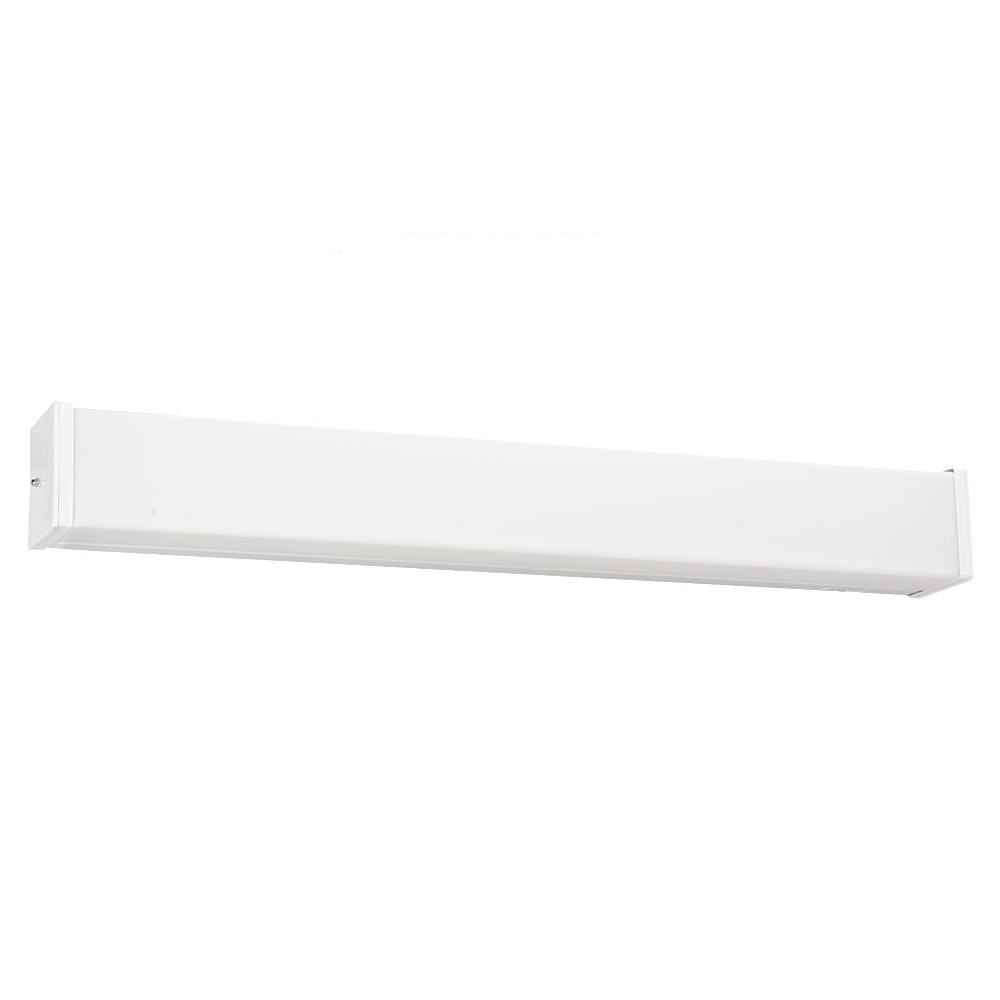 Two Light Multi-Volt Ceiling / Wall Mount