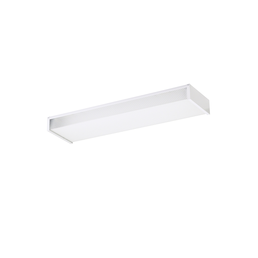 Two Light Ceiling Flush Mount