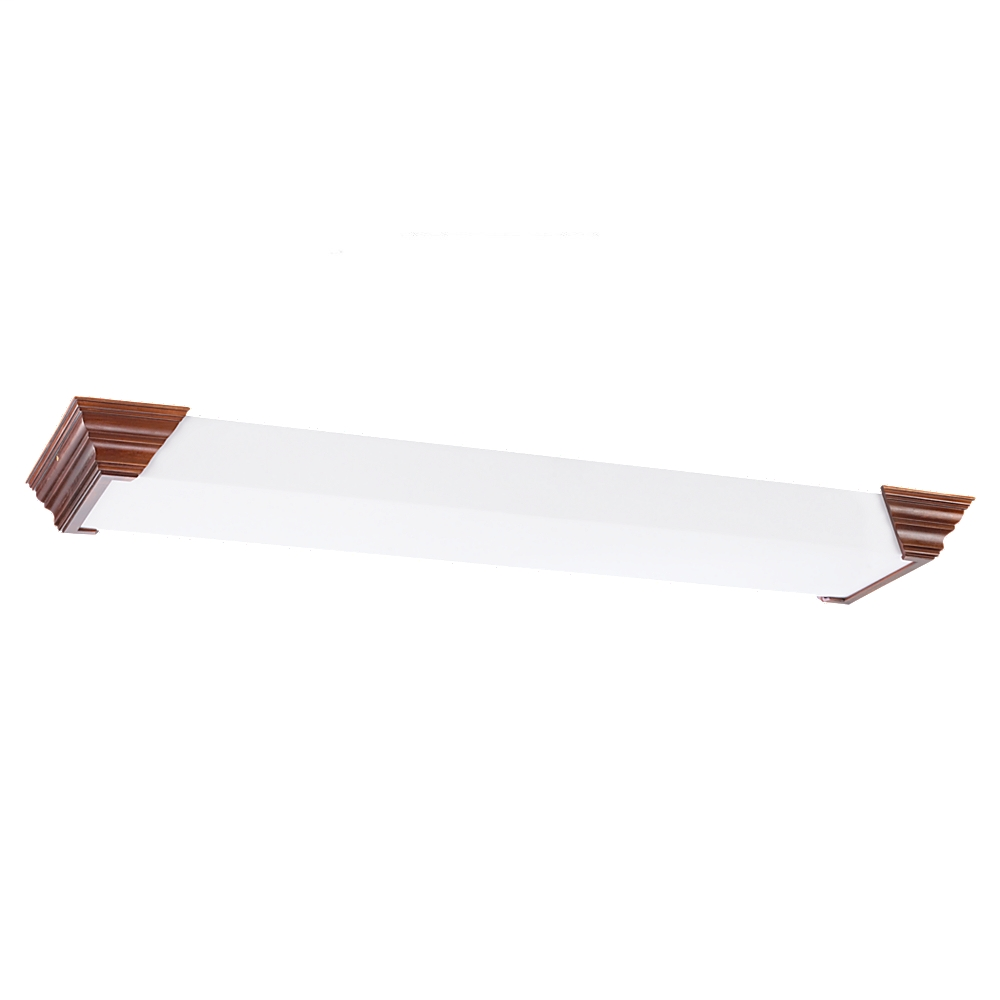 Two Light Ceiling