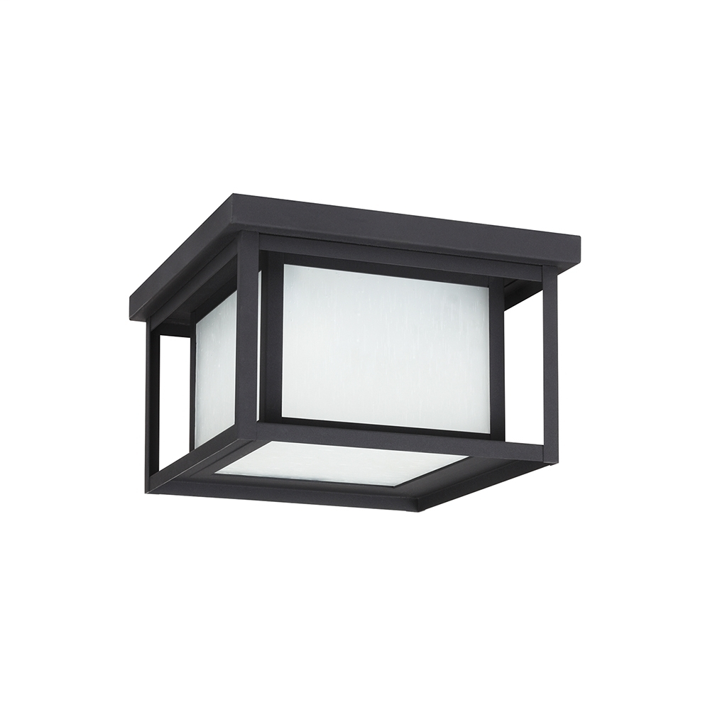 Two Light Outdoor Ceiling Flush Mount