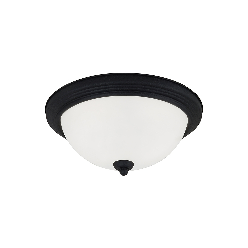 Two Light Ceiling Flush Mount