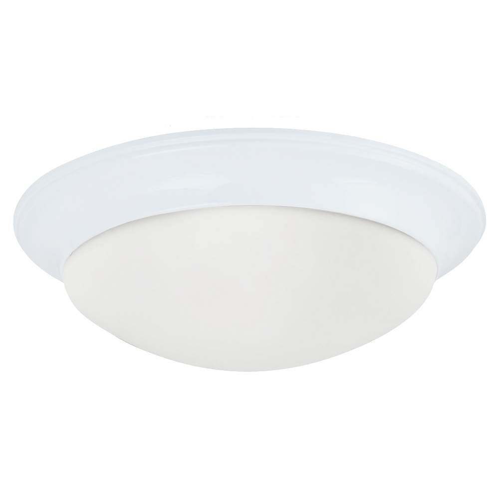 Two Light Ceiling Flush Mount
