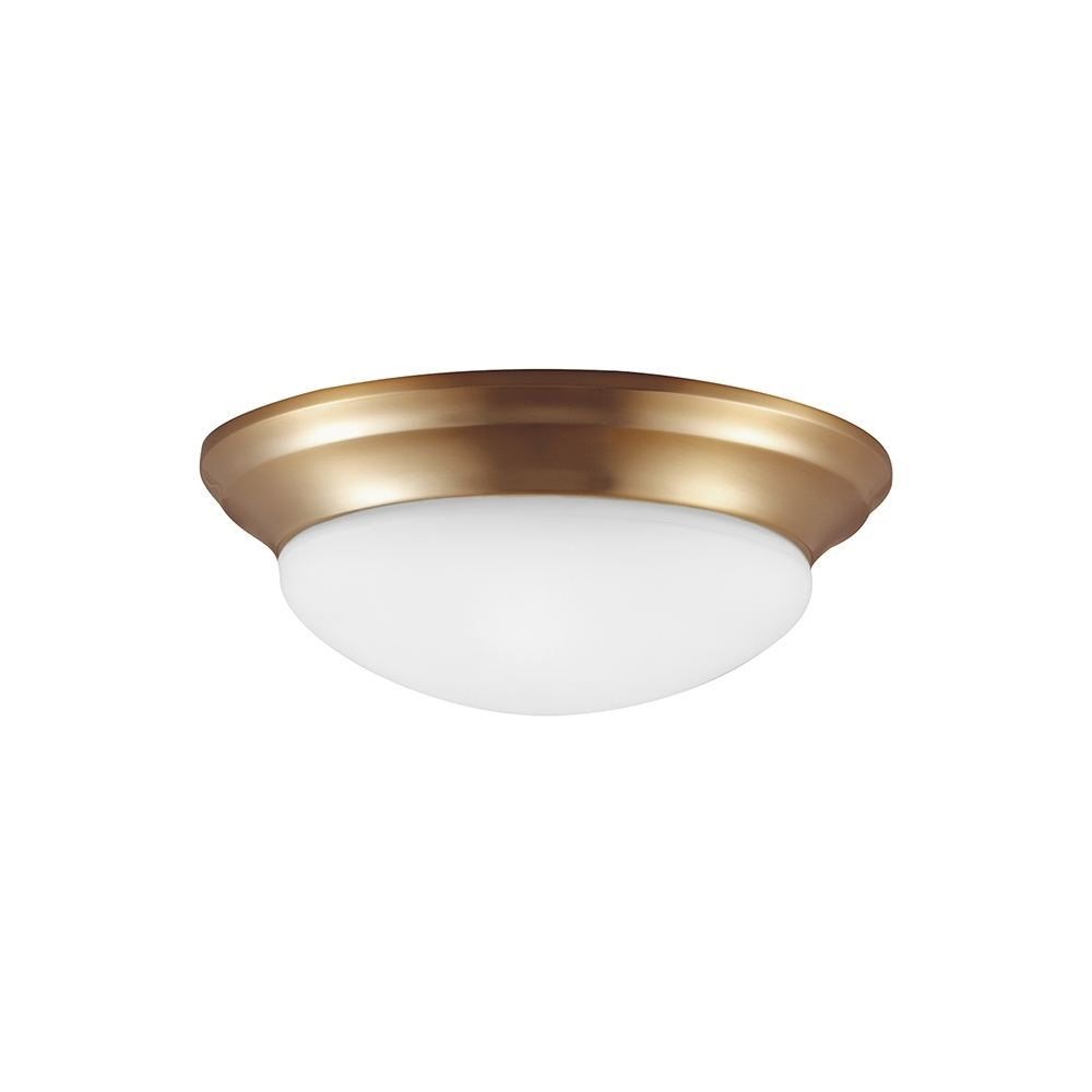 Two Light Ceiling Flush Mount