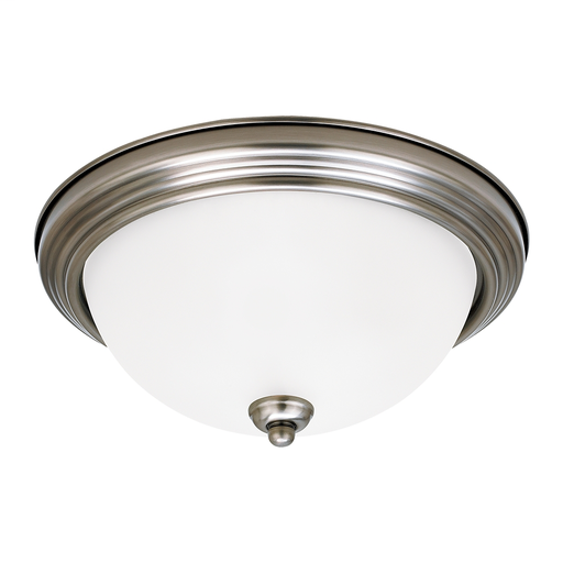 Product image for S-GULL 79565BLE-965 3LT 13W FX