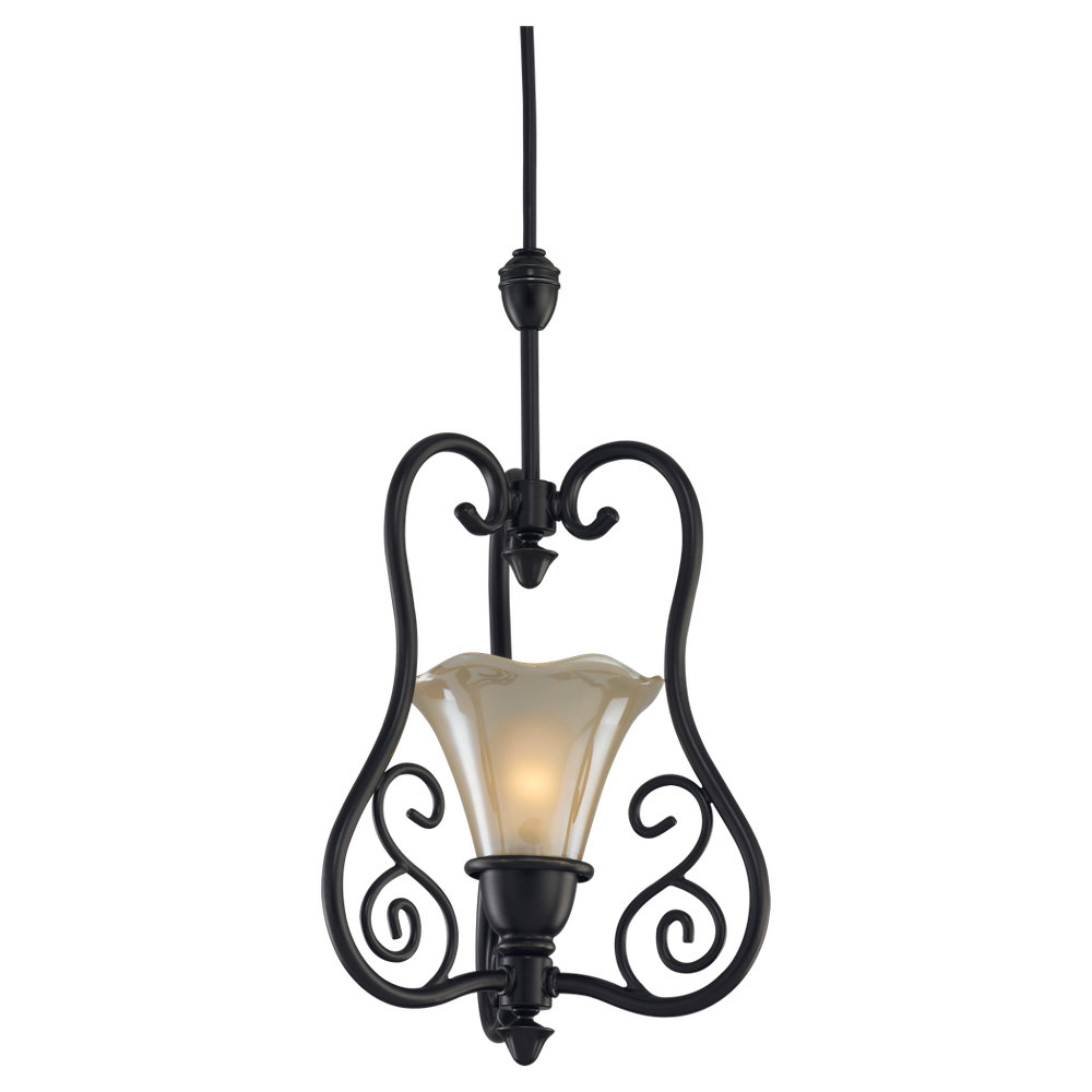 One Light Convertible Pendant Assembly