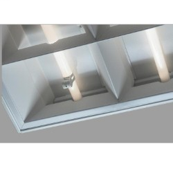ELSC-DLH-TVLAMP/BUS