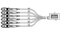 SW,N/LCH,D1X2,50/125,STSTY,STR