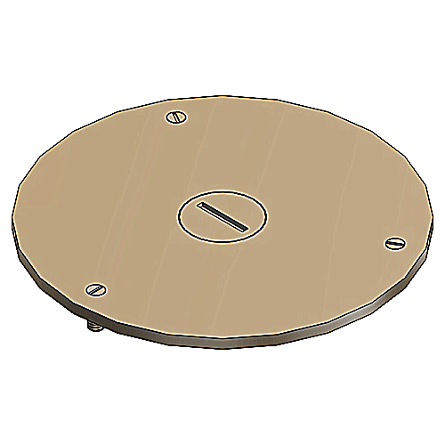Product image for ABB P 67 1 1/4 FLUSH SVC CVR PLT 1.