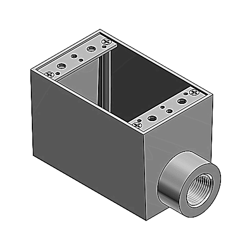 DDS_242173