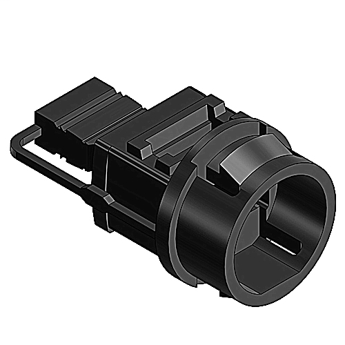 DDS_304885