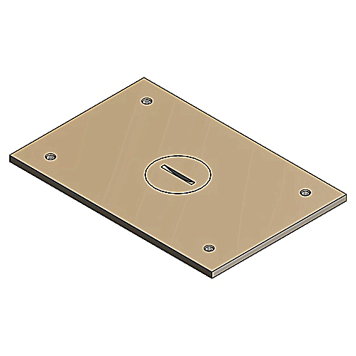 Product image for Steel City P-64-3/4 Brass Cover Plate