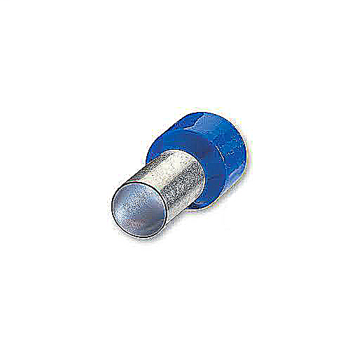 Ferrule