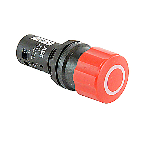 Pushbutton