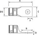 DDS_2418862
