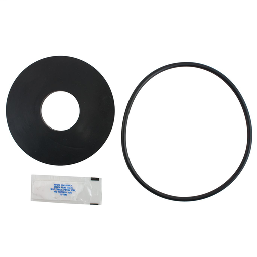 4 In Second Check Rubber Part Kit For Series 909 And Lf909