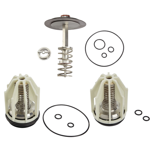 2 1/2 And 3 In Reduced Pressure Zone Total Repair Kit, Lead Free, Series 009