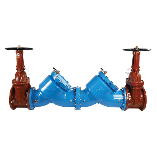 4 In Cast Iron Double Check Valve Assembly, Osy Shutoffs