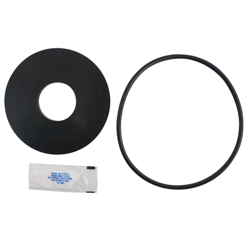4 In First Check Rubber Part Kit For Series 909 And Lf909