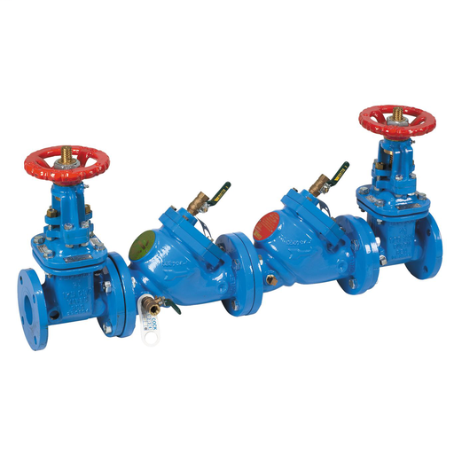 2 1/2 In Cast Iron Double Check Valve Assembly, Osy Shutoffs