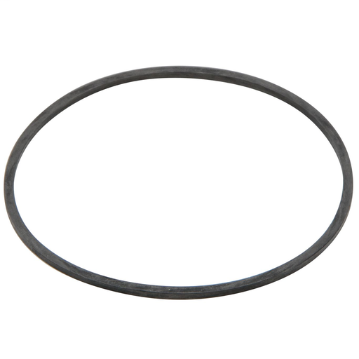 2 IN Gasket for Y-Strainer, 777SI