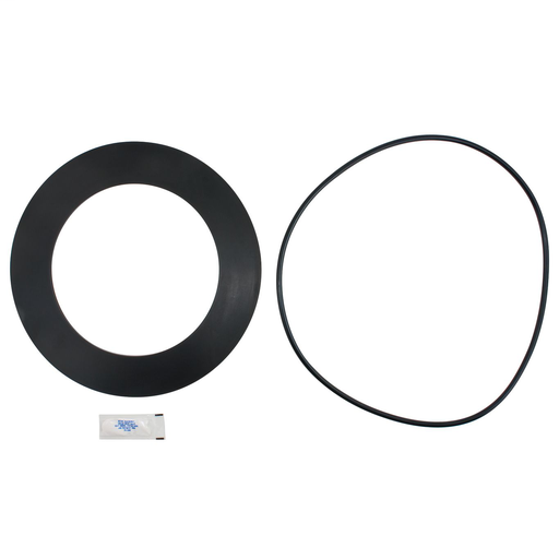 10 In Second Check Rubber Part Kit For Series 909 And Lf909