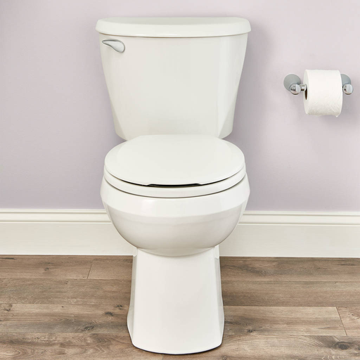 Reliant 10 Inch Rough-in Round Front 1.28 GPF Toilet 3332DB101CR.020