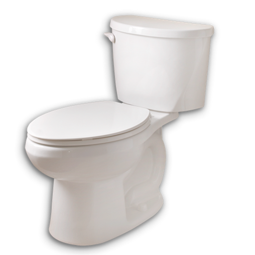 Mainstream FloWise Round Front 1.28 gpf Complete Toilet 3468128.020